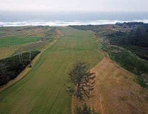 Sheep Ranch Aerial 1st Tree